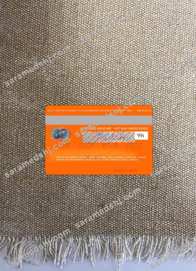 Albania Intesa Sanpaolo Bank mastercard photolook back